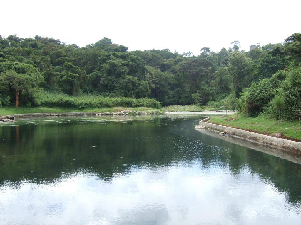 kikuyu dam spring